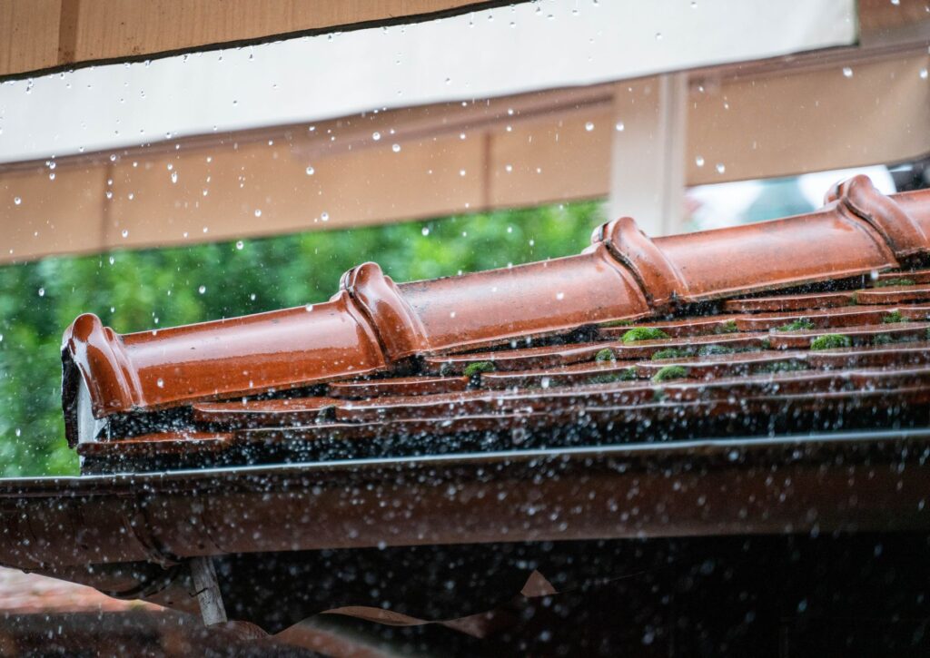 Sơn Chống Thấm: Giải Pháp Bền Vững Bảo Vệ Ngôi Nhà Bạn Khỏi Thấm Dột